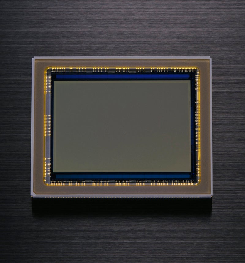 Nikon D800 sensor