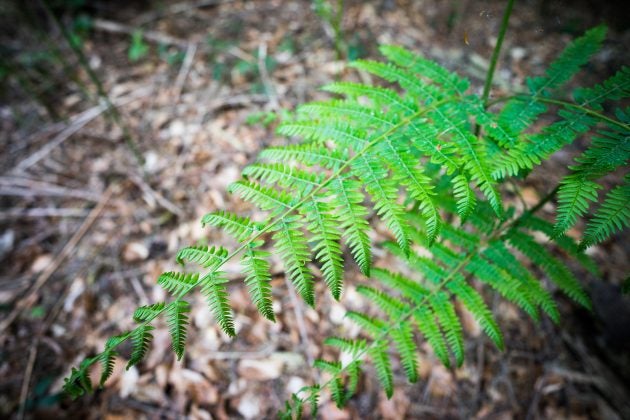 Zeiss Batis 18mm f/2.8 Sample Image