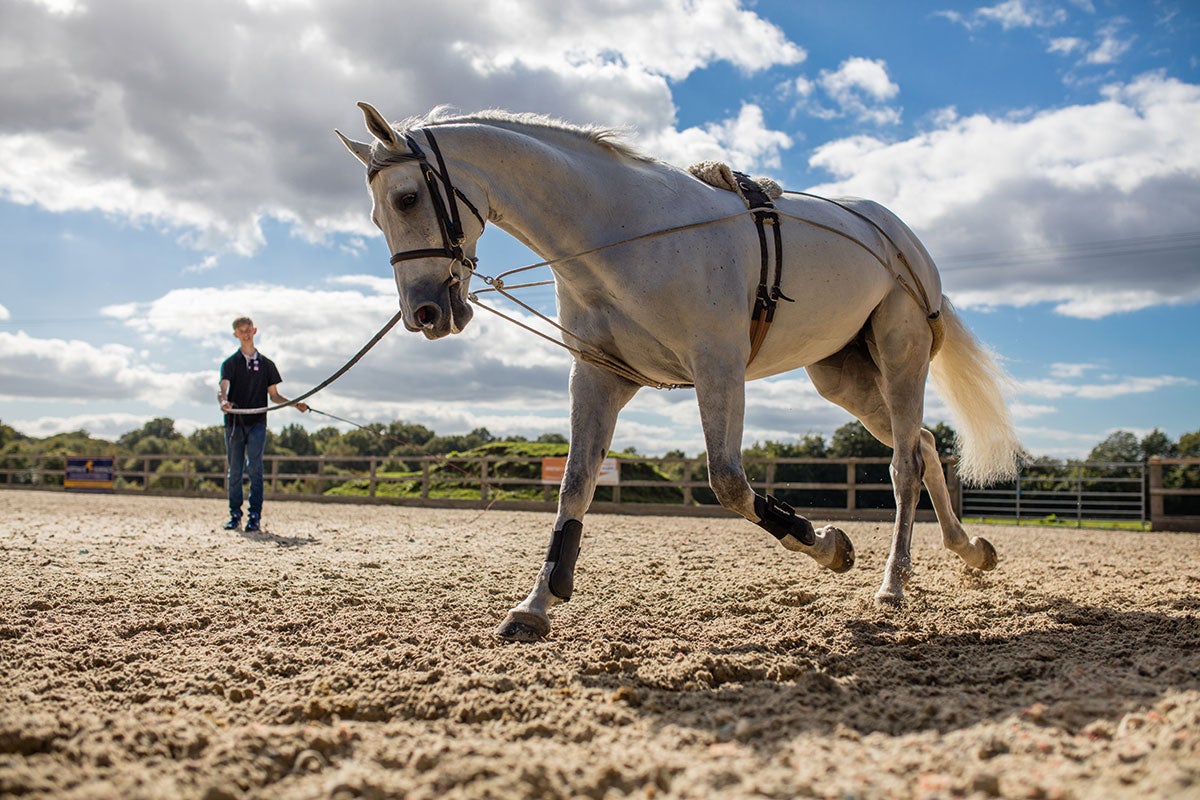 The Canon EOS 5DS R is fast and accurate in continuous and single-point autofocusing