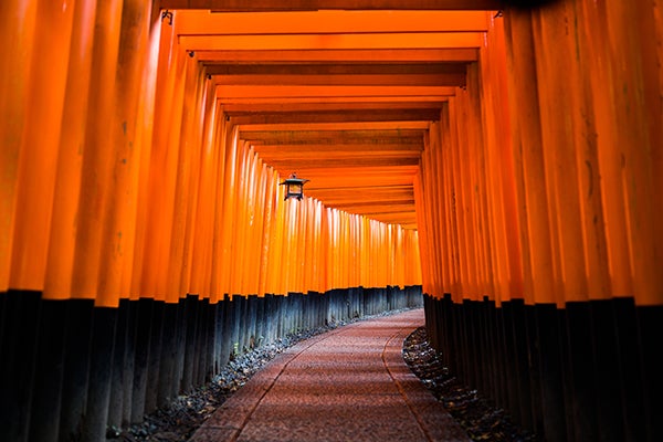 The famous Arashiyama Bamboo Grove on the outskirts of Kyoto